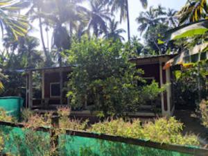 diveagar