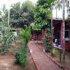 diveagar