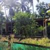 diveagar