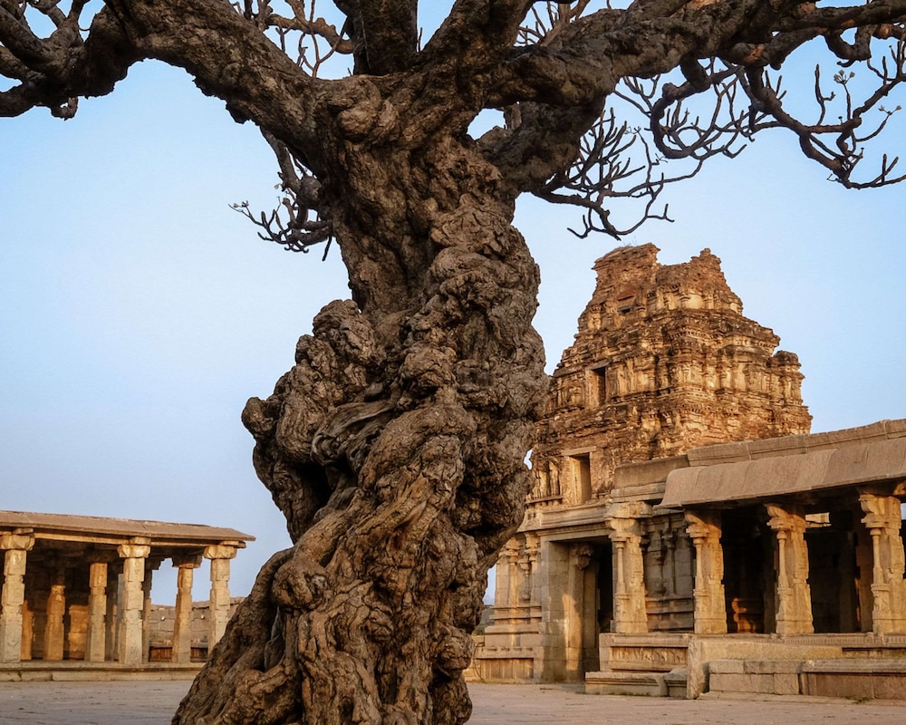 hyatt place hampi