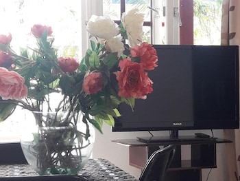 palmita hotel hostel