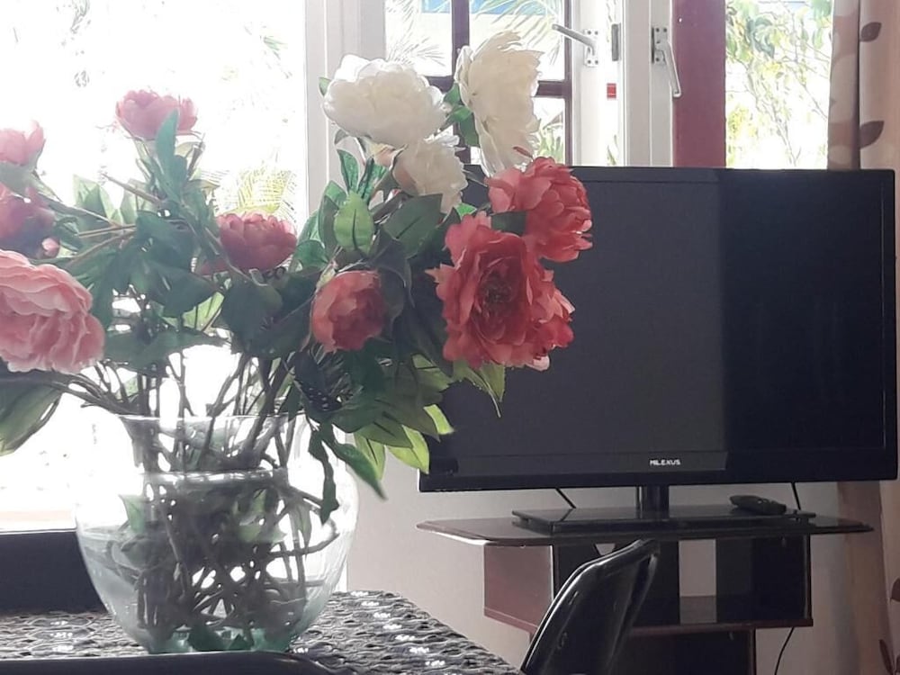 palmita hotel hostel