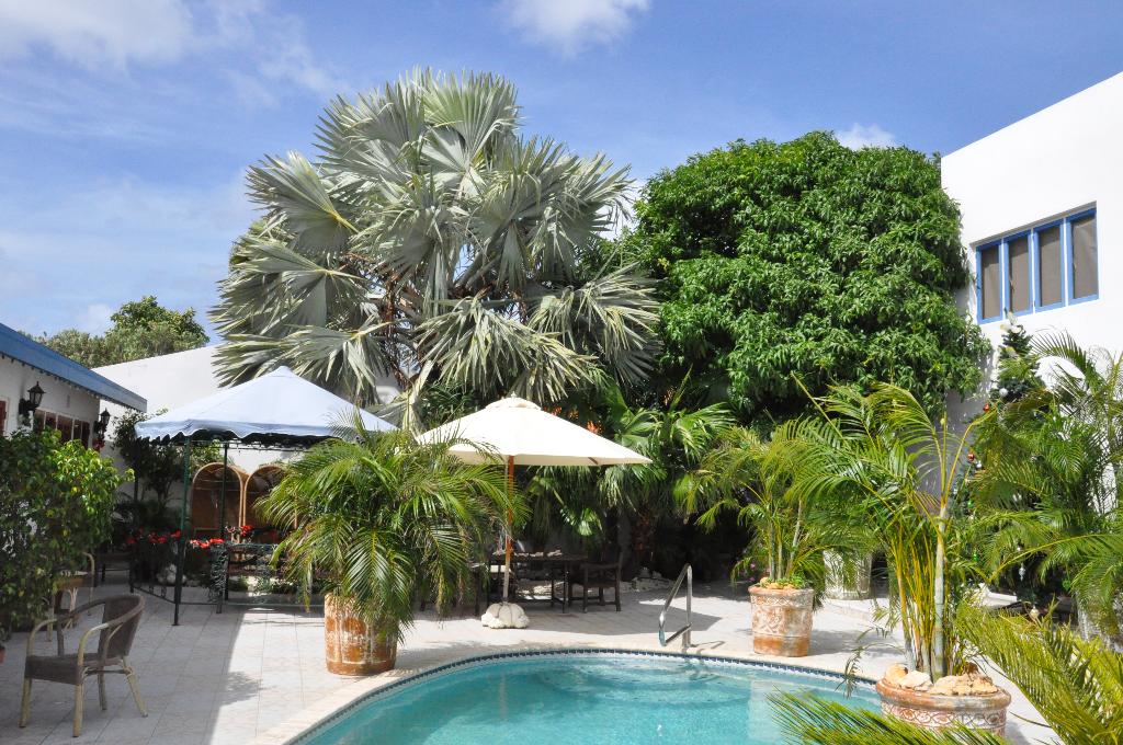 palmita hotel hostel