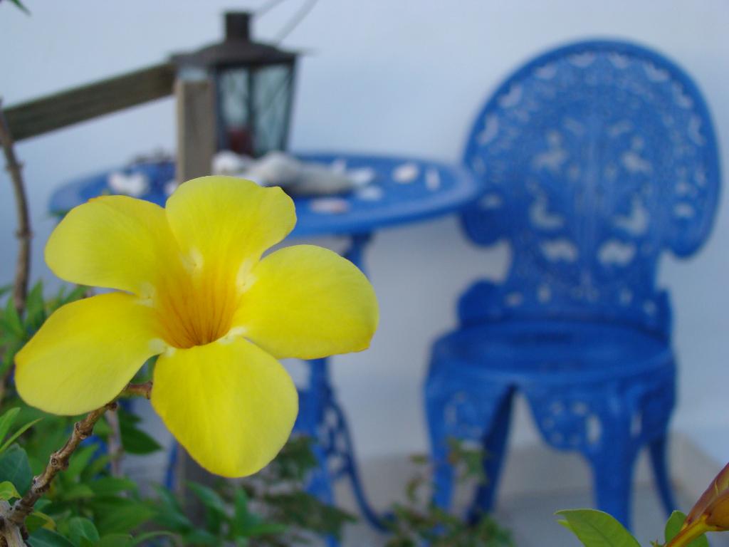 palmita hotel hostel