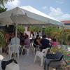 palmita hotel hostel