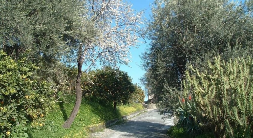 antico borgo etneo country hotel