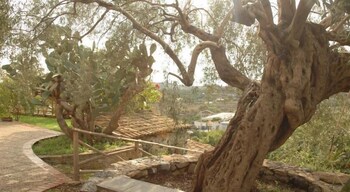 antico borgo etneo country hotel