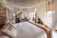 impodimo game lodge