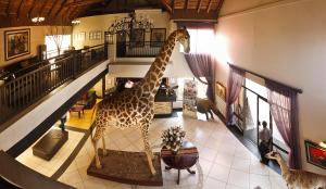 bloemfontein