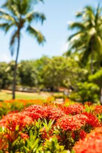 Hotel Marinas Resort,Pipa>>Natal,4 star