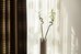 hotel arianis