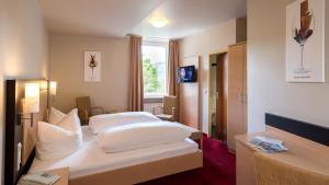 Rheinhotel Lamm,Mainz>>Assmannshausen,3 star