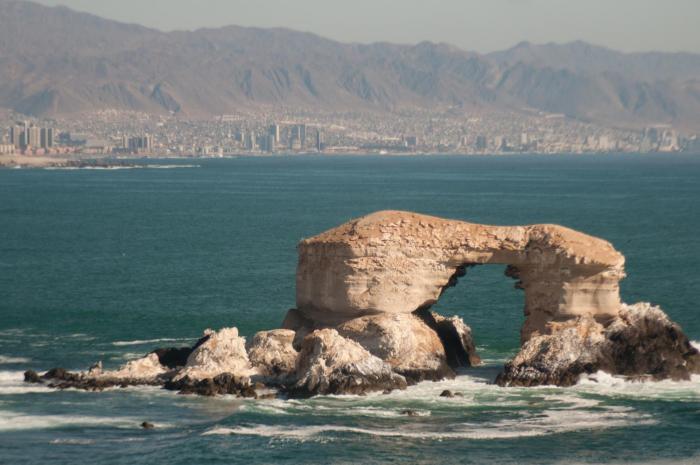enjoy antofagasta