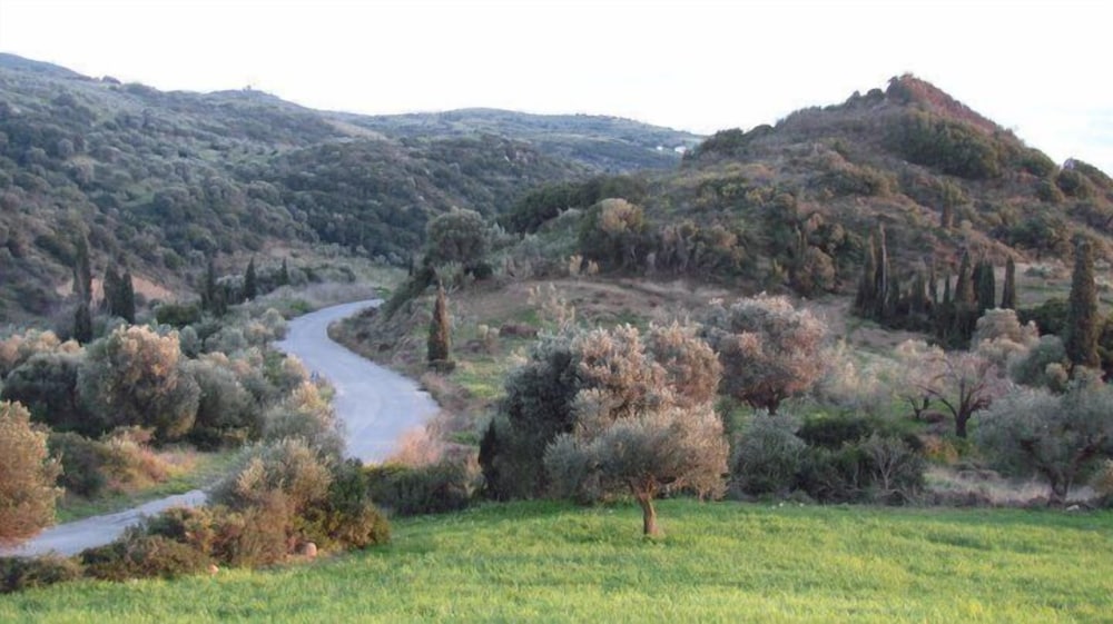 hotel estia