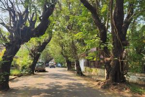 panaji