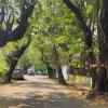 panaji