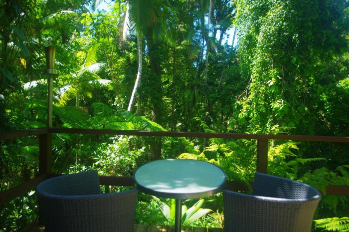 heritage lodge in the daintree