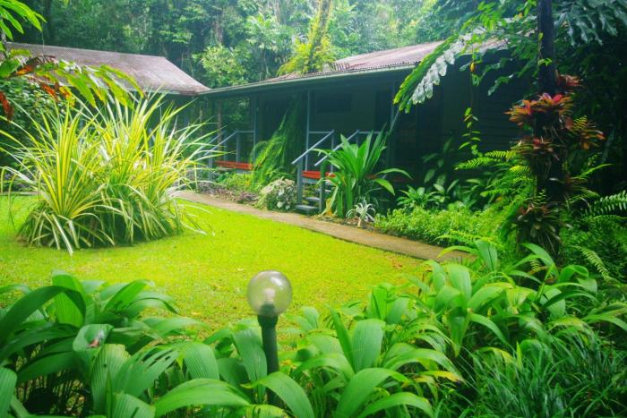 heritage lodge in the daintree