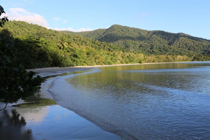 heritage lodge in the daintree