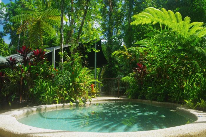 heritage lodge in the daintree