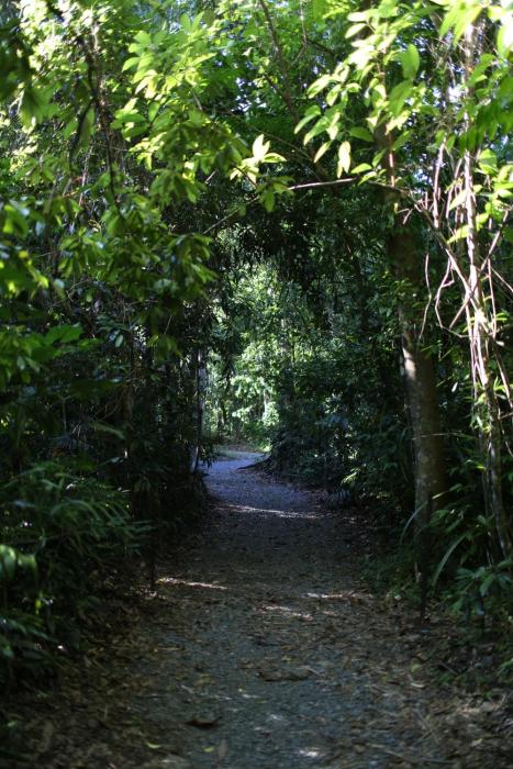 heritage lodge in the daintree