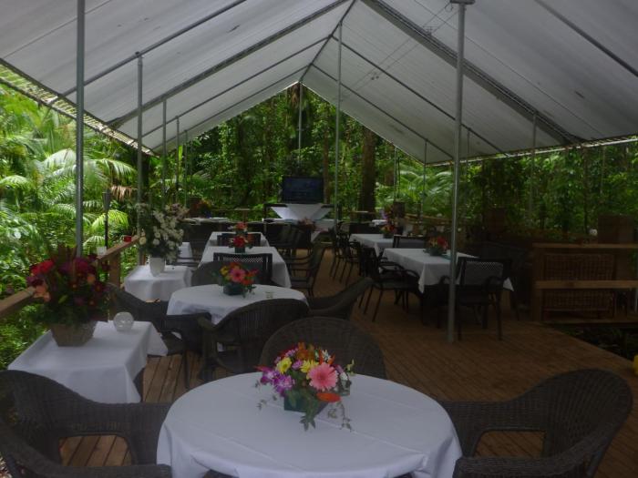 heritage lodge in the daintree