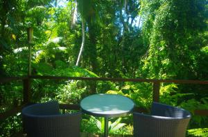 heritage lodge in the daintree