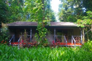 heritage lodge in the daintree