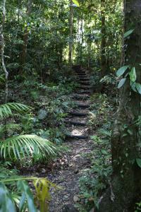 heritage lodge in the daintree