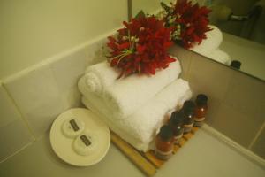 heritage lodge in the daintree