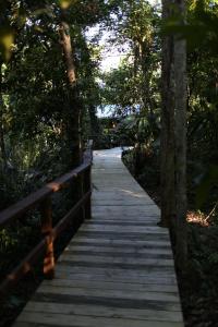 heritage lodge in the daintree