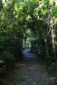 heritage lodge in the daintree