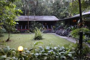 heritage lodge in the daintree