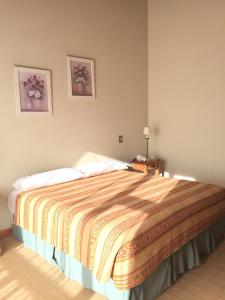 el calafate