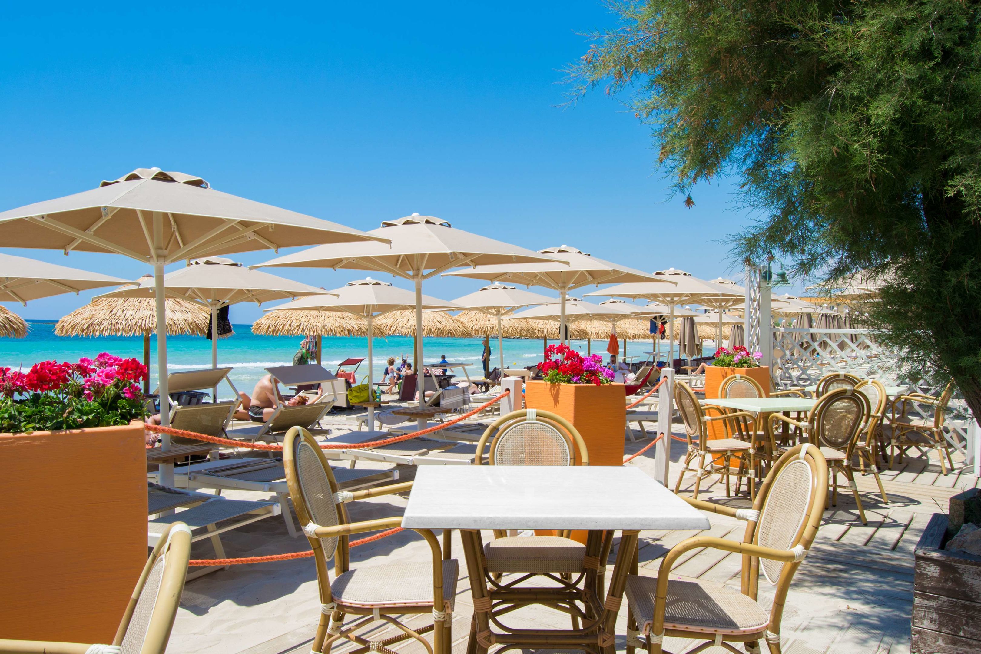 conchiglia azzurra resort and beach