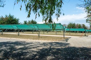 conchiglia azzurra resort and beach