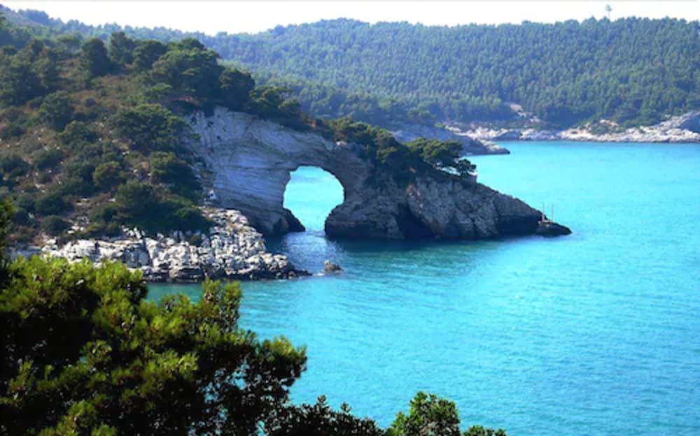 hotel residence il porto