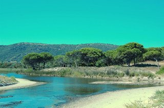 beach hotel budoni