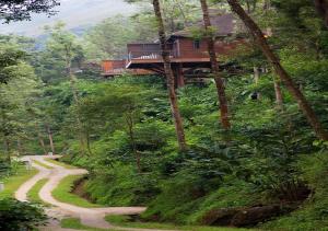 coorg