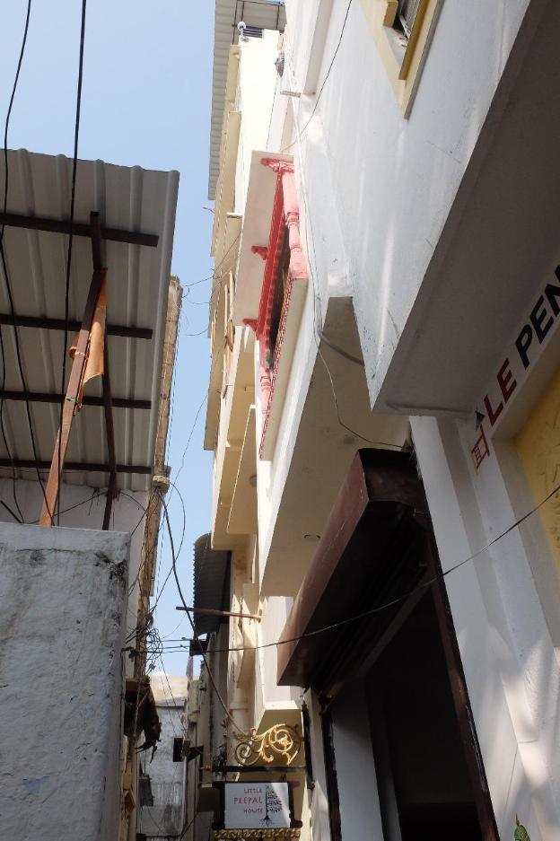 little peepal house