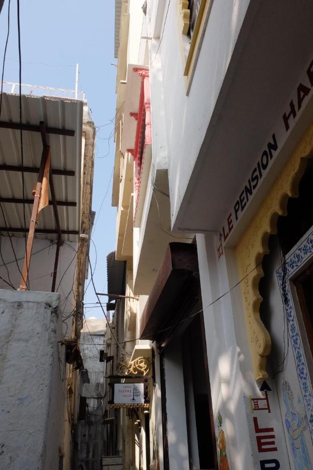 little peepal house