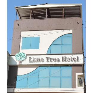 lime tree hotel