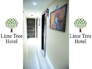 lime tree hotel