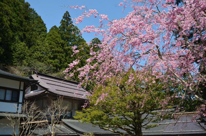 koyasan syukubou fudouin