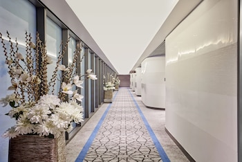 aerotel airport transit hotel