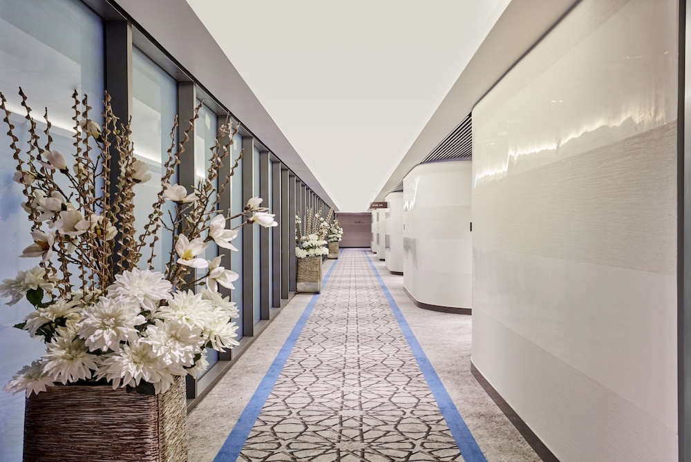 aerotel airport transit hotel