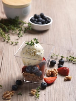 aerotel airport transit hotel