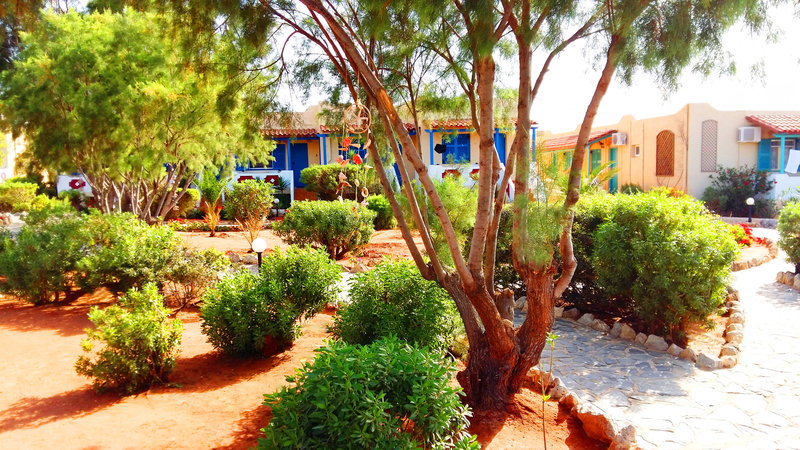 zorbas beach village hotel