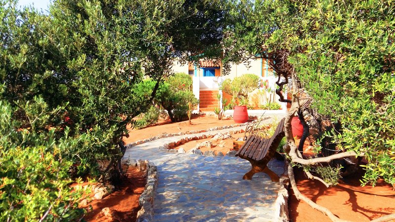 zorbas beach village hotel