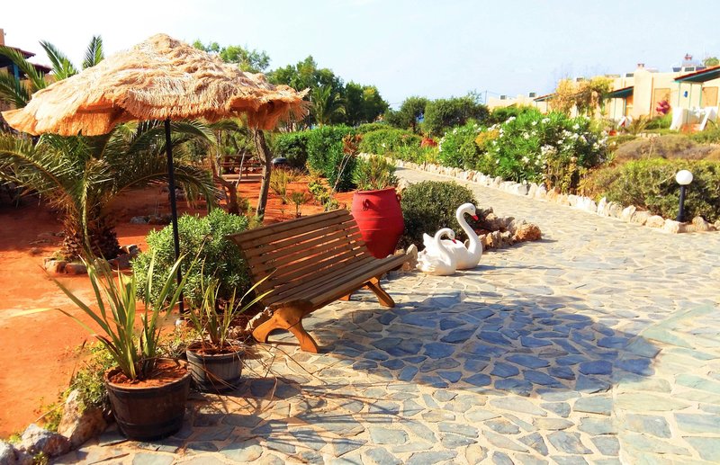 zorbas beach village hotel
